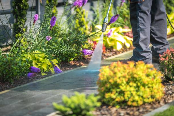Reliable Philomath, OR Pressure Washing Services Solutions